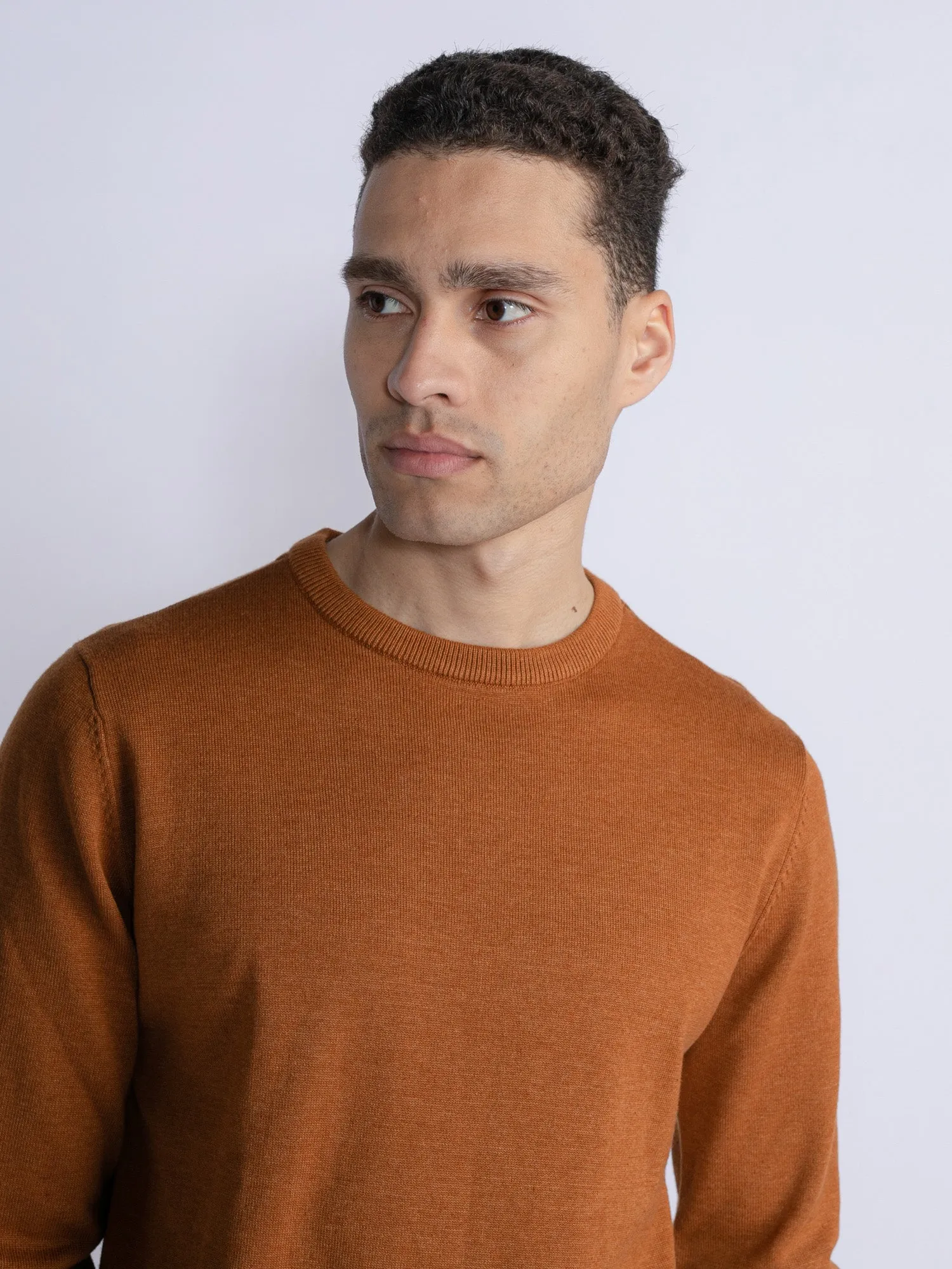 Fine-knit pullover Dolton