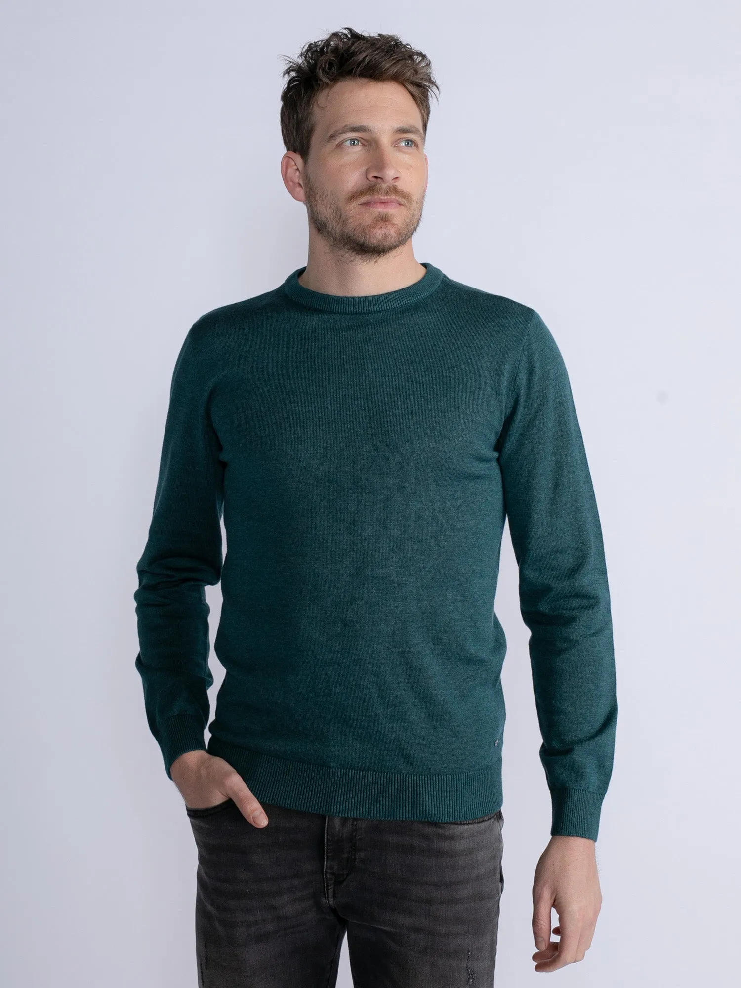 Fine-knit pullover Dolton