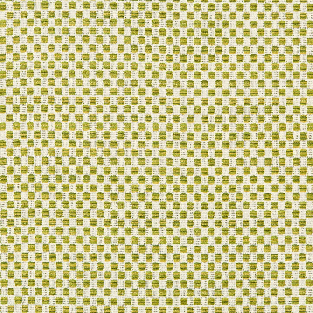 Green and Yellow Outdoor Fabric
